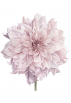 queence Sienos lipdukai &raquo;Nele&laquo; paveikslas Sticker rosa Blume Bl&uuml;te selbstklebend Pastellfarben