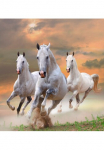 Papermoon Fototapetas &raquo;White Stallions in Dust&laquo; glatt