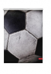 LICHTBLICK ORIGINAL Ritininė užuolaida &raquo;Rollo Lango kabliukai be Bohren blickdicht Retro futbolo kamuolys - Schwarz-Wei&szlig;&laquo; blickdicht Blendschutz | Sienelė freih&auml;ngend