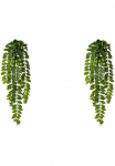 Creativ green Kunstranke &raquo;Columnearanke&laquo;