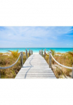 Papermoon Fototapetas &raquo;Dunes Carribean Beach&laquo; glatt