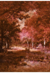 Komar Tapetai &raquo;Digitaldruck Vlies - Autumna Rosso - Gr&ouml;&szlig;e 200 x 280 cm&laquo; ra&scaron;tuotas glatt Wohnzimmer miegamojo kambario baldai