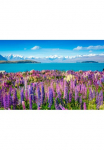 Papermoon Fototapetas &raquo;Montain Lake with Flowers&laquo; glatt