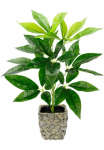 I.GE.A. Dirbtinis augalas &raquo;Schefflera&laquo; su Vazonas Dirbtinis Seidenblumen