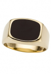 Firetti Žiedas &raquo;Schmuck Dovanų Gold 585 Vyri&scaron;kas žiedas Goldring&laquo; su Onyx