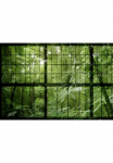 living walls Fototapetas &raquo;Walls by Patel Rainforest 2&laquo; glatt Vlies Wand Schr&auml;ge