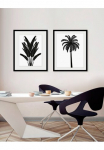 queence Paveikslas &raquo;Palma&laquo; Bl&auml;tter | Kunst | Pflanzen | Pflanzenbilder | Schwarz-Wei&szlig; 1 Stk. dalys HD Premium Poster-Druck ir Holzrahmen