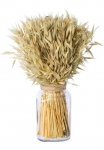 Creativ home Trockenblume &raquo;Trockenblumenarrangement im Glas&laquo;