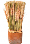 Creativ home Trockenblume &raquo;Trockenblumen imTopf&laquo;