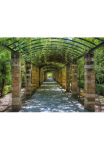 Papermoon Fototapetas &raquo;Garden of Athens&laquo; glatt