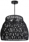 Paco Home Pakabinamas &scaron;viestuvas &raquo;HUGO PD1&laquo; E27