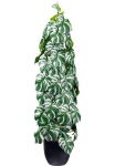 Creativ green Dirbtinis Zimmerpflanze &raquo;Splitphilodendron&laquo; su s&auml;ulenartigem Aufbau