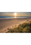 Papermoon Fototapetas &raquo;Dunes Beach Jutland&laquo; glatt