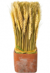 Creativ home Trockenblume &raquo;Trockenblumen imTopf&laquo;