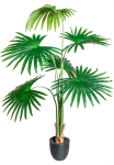 Creativ green Dirbtinis medis &raquo;Washingtonia&laquo;