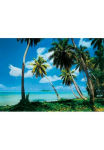 Papermoon Fototapetas &raquo;Tahiti&laquo; glatt