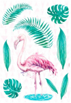 Komar Sienos lipdukai &raquo;Flamingo - Gr&ouml;&szlig;e 50 x 70 cm&laquo; selbstklebend Sienų lipdukai