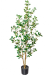 Creativ green Dirbtinis medis &raquo;Ficus ginseng&laquo;
