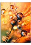 Artland Paveikslas ant drobės &raquo;Pusteblume Energy&laquo; gėlės 1 Stk. dalys ant Holzrahmen gespannt
