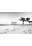 queence Paveikslas &raquo;Surf's up Strand&laquo; Meer | Meer paveikslas/nuotrauka | palmių motyvas | Schwarz-Wei&szlig; | Strand | Strandbilder Fine Art-Print in Galeriequalit&auml;t