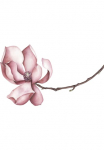 queence Sienos lipdukai &raquo;Sabrina&laquo; paveikslas Sticker rosa Blume Bl&uuml;te selbstklebend