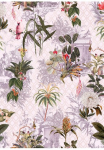 Komar Tapetai &raquo;Digitaldruck Vlies - Tropicana - Gr&ouml;&szlig;e 200 x 280 cm&laquo; ra&scaron;tuotas glatt Wohnzimmer miegamojo kambario baldai