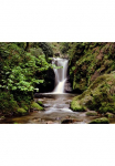 Papermoon Fototapetas &raquo;Waldbach&laquo; glatt