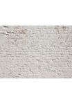 living walls Fototapetas &raquo;Klinker Backstein&laquo; glatt Vlies Wand Schr&auml;ge