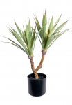 Creativ green Dirbtinis Zimmerpflanze &raquo;Agave&laquo;