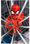 Reinders! Plakatas &raquo;Marvel Spiderman - gotcha&laquo;
