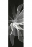 Architects Paper Fototapetas &raquo;Black And White&laquo; Grafik Tapetai Natur