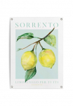 Reinders! Plakatas &raquo;Lemon Portrait&laquo;