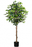 Creativ green Dirbtinis augalas