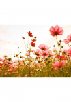living walls Fototapetas &raquo;Designwalls gėlė Meadow 1&laquo; glatt Vlies Wand Schr&auml;ge Užklotas