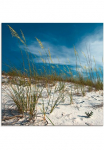 Artland Stiklinis paveikslas &raquo;Sandd&uuml;ne ir Gr&auml;ser&laquo; Strand 1 Stk. dalys in padėties dydžiai