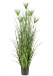 Creativ green Dirbtinė žolė &raquo;Zyperngras&laquo; su sieben Zyperngrasbl&uuml;ten