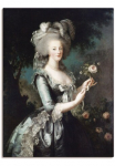 Artland Paveikslas &raquo;Marie Antoinette 1783&laquo; Menschen 1 Stk. dalys kaip Paveikslas ant drobės Plakatas in verschied. dydžiai