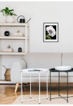 queence Paveikslas &raquo;Leslie&laquo; gėlės | Foto | Pflanzen | Pflanzenbilder 1 Stk. dalys HD Premium Poster-Druck ir Holzrahmen