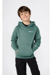 Champion Sportinis megztinis su gobtuvu &raquo;SPORTWEAR bliuzonas Standard Fit&laquo; dėl Vaiki&scaron;ki