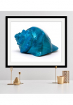 queence Paveikslas &raquo;Svetlana&laquo; Kunst | Meer | Wassertiere 1 Stk. dalys HD Premium Poster-Druck ir Holzrahmen