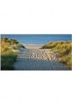 Artland Paveikslas &raquo;Strandaufgang&laquo; Strand 1 Stk. dalys kaip Alubild Paveikslas ant drobės in verschied. dydžiai