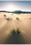 Komar Tapetai &raquo;Digitaldruck Vlies - Vivid Dunes - Gr&ouml;&szlig;e 200 x 280 cm&laquo; ra&scaron;tuotas glatt Wohnzimmer miegamojo kambario baldai