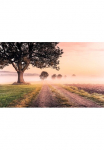 Komar Tapetai &raquo;Digitaldruck Vlies - Misty Morning - Gr&ouml;&szlig;e 400 x 250 cm&laquo; ra&scaron;tuotas glatt Wohnzimmer miegamojo kambario baldai