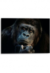 Platinum Paveikslas &raquo;Gorilla&laquo; 1 1 Stk. dalys Joachim G. Pinkawa
