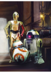 Komar Fototapetas &raquo;STAR WARS Three Droids - Gr&ouml;&szlig;e 184 x 254 cm&laquo; ra&scaron;tuotas glatt vaikų kambario baldų komplektas