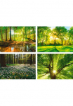 Artland Plakatas &raquo;Wald Bach Fr&uuml;hling Windrosen Sonne Baum&laquo; Wald 4 Stk. dalys paveikslas/nuotrauka rinkinys 4 vnt. be grotelės