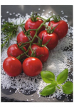 Artland Paveikslas &raquo;Tomaten Rispe ant Salz&laquo; Lebensmittel 1 Stk. dalys dėl Innen- ir lauko zona tinka Outdoorbild