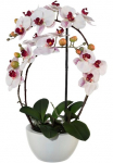 Creativ green Dirbtinis augalas &raquo;Phalaenopsis&laquo;
