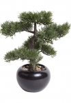 Botanic-Haus Kunstbonsai &raquo;Ceder Bonsai&laquo;