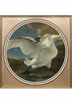queence Paveikslas &raquo;Wei&szlig;er Schwan&laquo; Ente | Enten | Dekoracija | Kunst | Vogelbilder | V&ouml;gel Fine Art-Print in Galeriequalit&auml;t